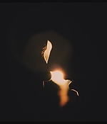 HSL201-138.jpg