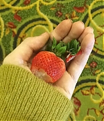 Filename=HSL-120.jpg
Filesize=101KiB
Dimensions=640x640
Date added=Sep 06, 2020 HSL-120.jpg